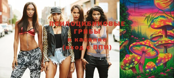 молекула духа Алзамай